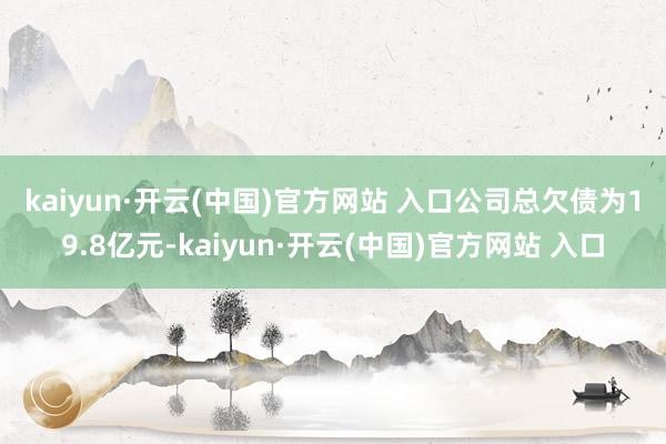 kaiyun·开云(中国)官方网站 入口　　公司总欠债为19.8亿元-kaiyun·开云(中国)官方网站 入口