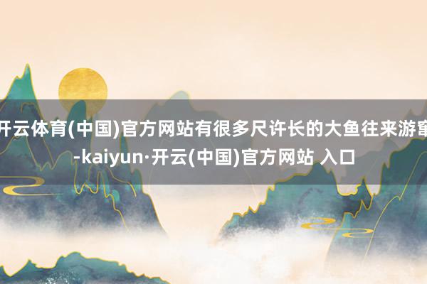 开云体育(中国)官方网站有很多尺许长的大鱼往来游窜-kaiyun·开云(中国)官方网站 入口