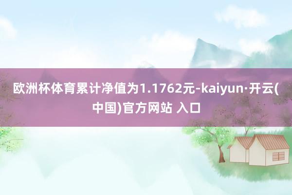 欧洲杯体育累计净值为1.1762元-kaiyun·开云(中国)官方网站 入口