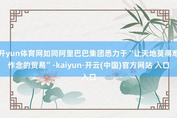 开yun体育网如同阿里巴巴集团悉力于“让天地莫得难作念的贸易”-kaiyun·开云(中国)官方网站 入口