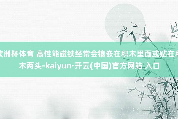 欧洲杯体育 高性能磁铁经常会镶嵌在积木里面或贴在积木两头-kaiyun·开云(中国)官方网站 入口