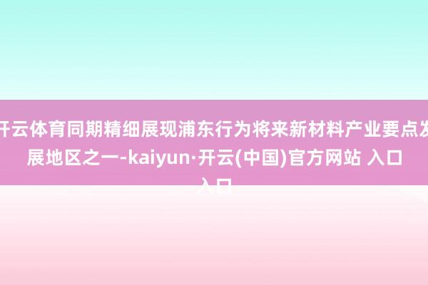 开云体育同期精细展现浦东行为将来新材料产业要点发展地区之一-kaiyun·开云(中国)官方网站 入口