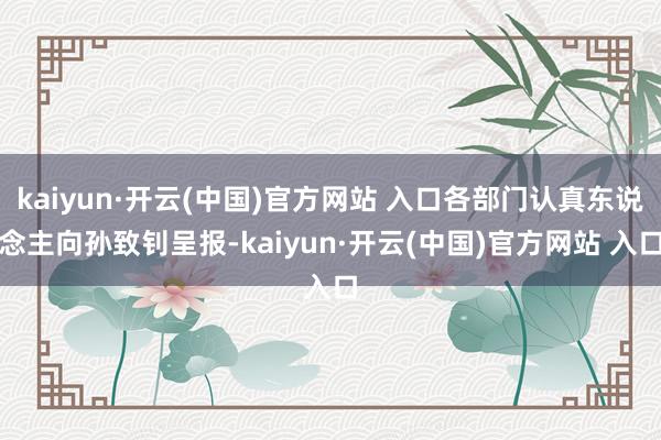 kaiyun·开云(中国)官方网站 入口各部门认真东说念主向孙致钊呈报-kaiyun·开云(中国)官方网站 入口