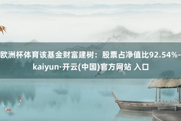 欧洲杯体育该基金财富建树：股票占净值比92.54%-kaiyun·开云(中国)官方网站 入口